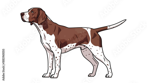 Illustration of a standing brown and white spotted dog on white background