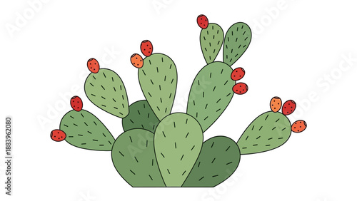 Colorful hand-drawn cactus illustration with red and orange fruits