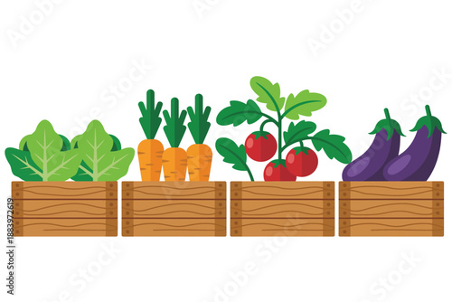 A colorful illustration of various vegetables growing in wooden planters outdoors