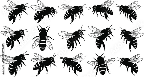 Black bee silhouette icon set showing flying honey bees in multiple angles, detailed insect vector illustrations isolated on white