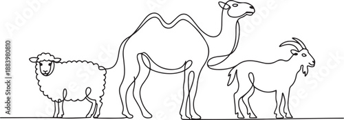 One continuous line drawing of sheep, camel and goat. Muslim holiday the sacrifice an animal to God, Eid al Adha greeting card concept. one line Icon drawing