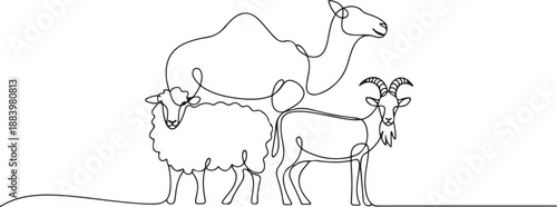 One continuous line drawing of sheep, camel and goat. Muslim holiday the sacrifice an animal to God, Eid al Adha greeting card concept. one line Icon drawing