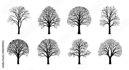 A collection of silhouetted trees with varying shapes and branch patterns