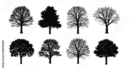 A collection of silhouetted trees with varying shapes and branch patterns