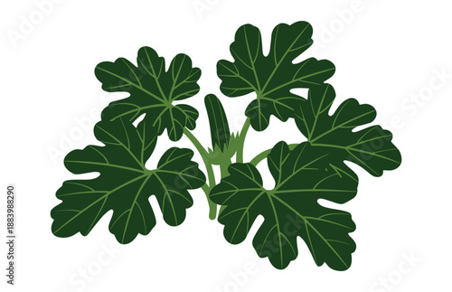A vibrant illustration of fig leaves on a white background