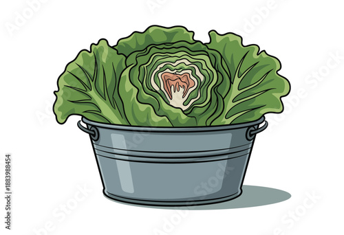 A cartoon illustration of a fresh cabbage in a metal bucket