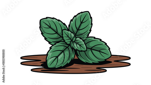 A cartoon illustration of a basil plant growing in brown soil