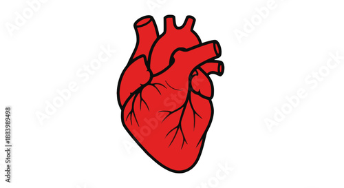 red heart in hand