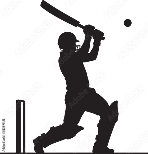 Cricket Batsman in Action Silhouette Vector. Sports Illustration, Batting Player Graphic Icon.