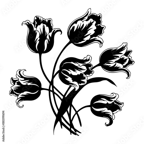 Black and white illustration of tulips in full bloom from a front viewpoint