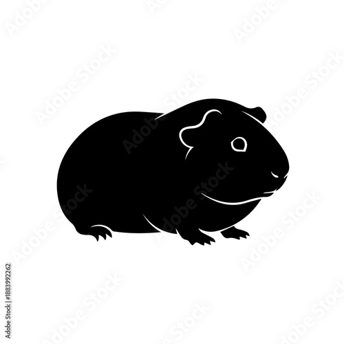 A black guinea pig silhouette sitting on a plain background viewed from the side.