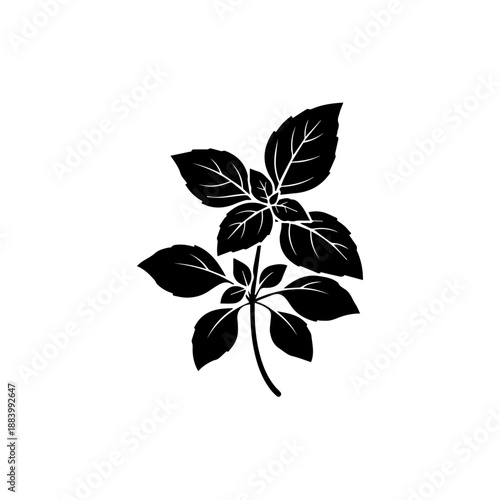 Illustration of a stem with leaves, showcasing nature's beauty from a close-up viewpoint