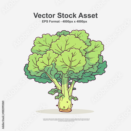 Green kale leaf in hand drawn doodle art style. This healthy vegetable illustration is a clean vector design in EPS format, perfect for organic food themes, nutrition visuals, and botanical artwork.