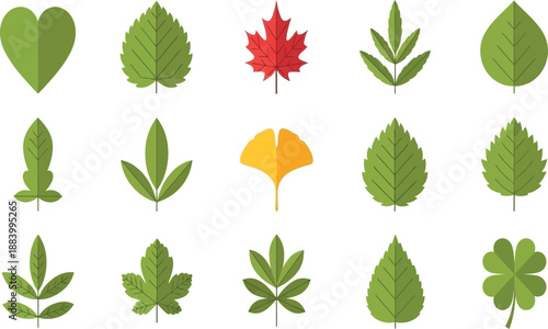 Collection of various green leaves and foliage illustrations