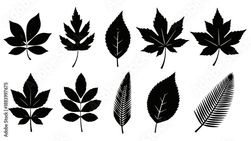 Dynamic white steam plume rising, capturing a moment of energy and movement