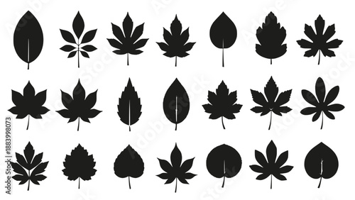 Hand holding a metal whisk, demonstrating its use in mixing batter for baking, domestic kitchen setting