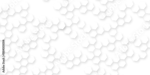 Abstract minimal Background with lines hexagonal structure futuristic white background, futuristic minimal honeycomb mosaic white background geometric mesh cell texture light blue 3d hexagon.