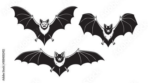 Vintage style bats flying together