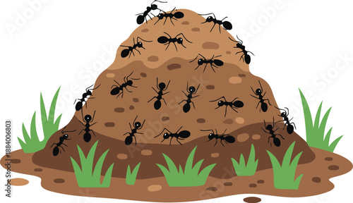 Ant Hill Outline Illustration Set  Crawling Ants, Soil, and Grass Habitat