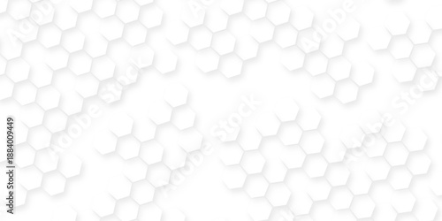 White hexagonal pattern 3d background, Clear pattern abstract background hexagon white, Seamless pattern of repeating white hexagons with subtle shadows creating depth.