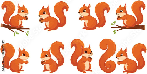 Cute squirrel character vector set with playful poses forest animal cartoon illustrations isolated