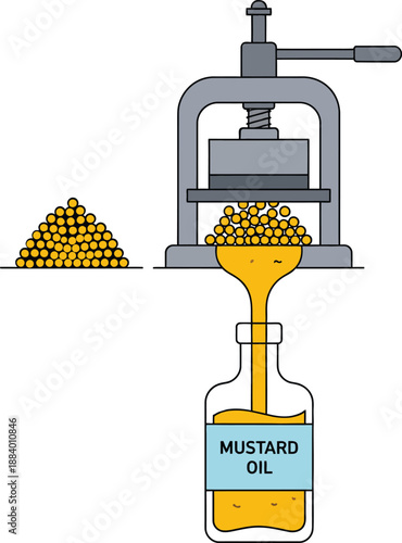 Mustard oil extraction process shown with press seeds and filling bottle with liquid mustard seeds pile