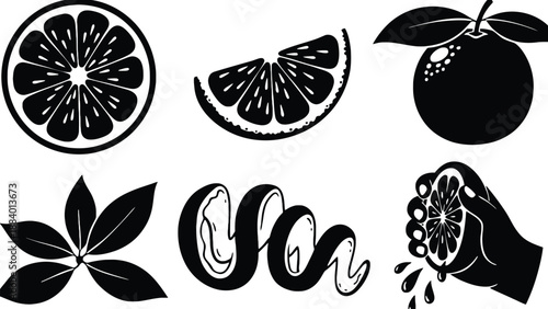 A set of black and white illustrations of citrus fruits and leaves