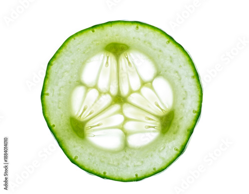 Wallpaper Mural Translucent Slice of Cucumber with Visible Seeds and Green Rind Keywords: cucumber, vegetable, slice, round, green Torontodigital.ca