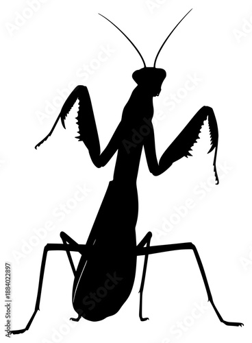 a black silhouette of a praying mantis on a illustration, black, hat, illustration, image, silhouette, against transparent background