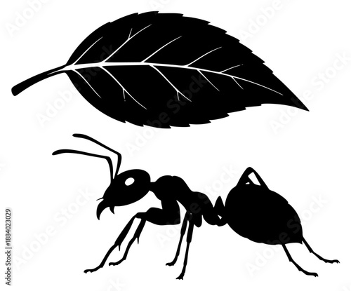 a black silhouette of an ant and a leaf, ant, black, illustration, leaf, silhouette, small, against transparent background