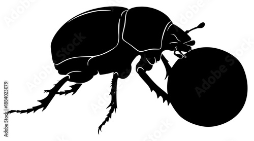 black silhouette of a bug on a illustration, beetle, black, bug, icon, illustration, insect, silhouette, against transparent background