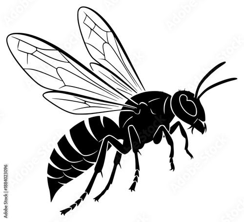 a black and white illustration of a bee with wings spread, bee, black, illustration, insect, silhouette, white, wing, against transparent background
