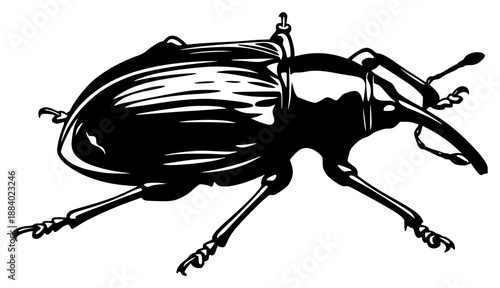 a black and white drawing of a beetle, beetle, black, bug, drawing, illustration, insect, against transparent background