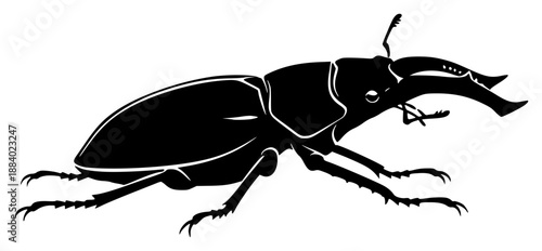 a black silhouette of a bug on a , a drawing of an insect, beetle, black, bug, drawing, illustration, image, insect, silhouette, against transparent background