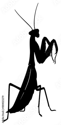a black and white illustration of a praying mantis, black, illustration, image, silhouette, against transparent background