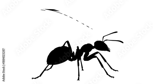 an abstract image of a black ant on a illustration, abstract, ant, black, illustration, image, silhouette, white, against transparent background