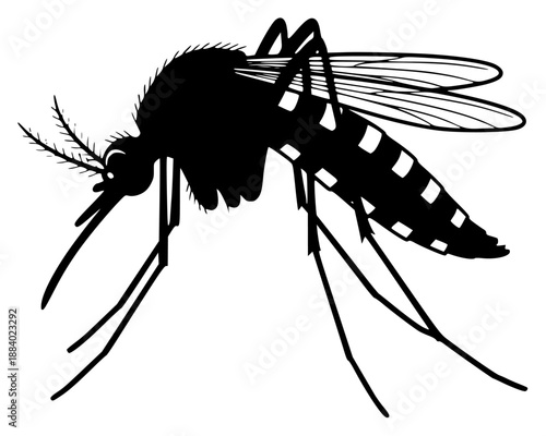 a black and white image of a mosquito on a , black, illustration, image, mosquito, silhouette, against transparent background