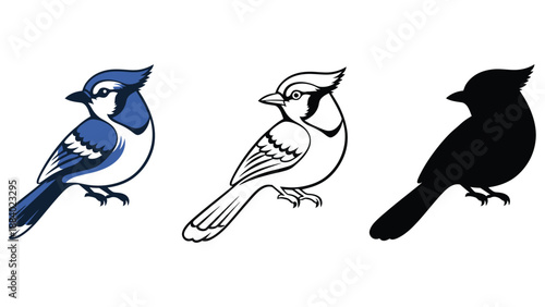 Three different bird illustrations on a white background
