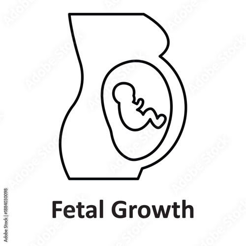 Fetal Growth Vector Icon which can easily modify or edit