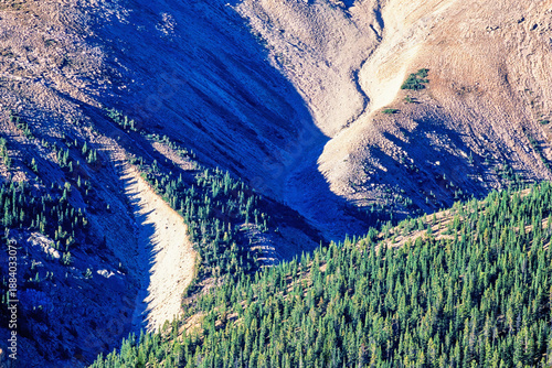 Εκτύπωση καμβά Mountain ravine with moraine scree and a spruce forest