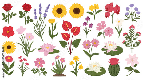 Detailed botanical collection featuring a wide variety of colorful flowers including roses, sunflowers, and lavender stems.