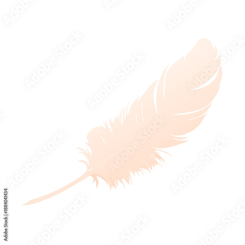 A single soft white bird plume is held by a hand against an isolated black background in this macro nature object shot featuring a light fluffy feather