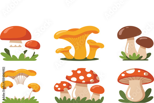 Cute Mushroom Vector Set Forest Fungi & Woodland Elements