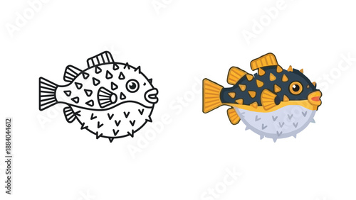 Detailed illustration set featuring a line art coloring page version and a full color graphic of a spiky inflated puffer fish aquatic animal concept