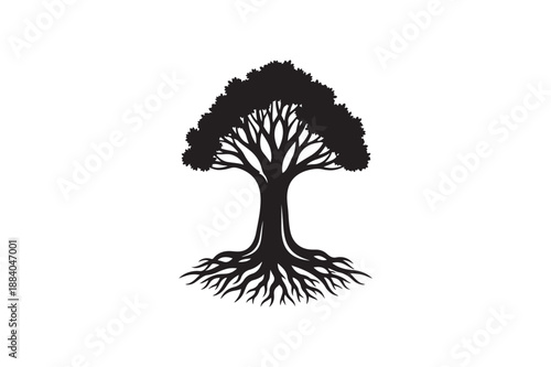 Tree with roots silhouette vector illustration, Set of Tree with roots silhouette vector 