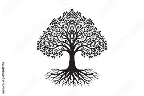 Tree with roots silhouette vector illustration, Set of Tree with roots silhouette vector 
