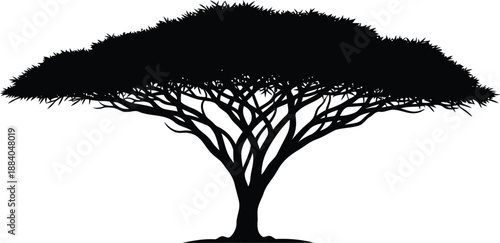 African baobab tree silhouette Vector