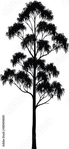 Eucalyptus tree silhouette Vector