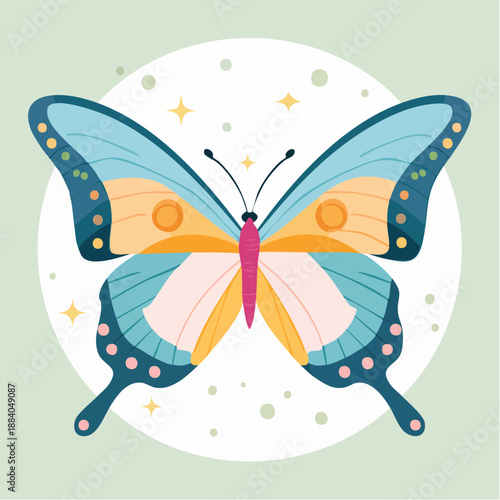 butterfly vector illustration