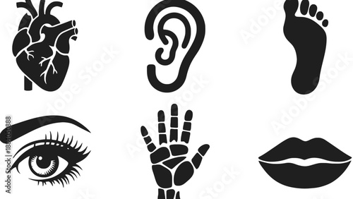 A collection of black and white human body part icons